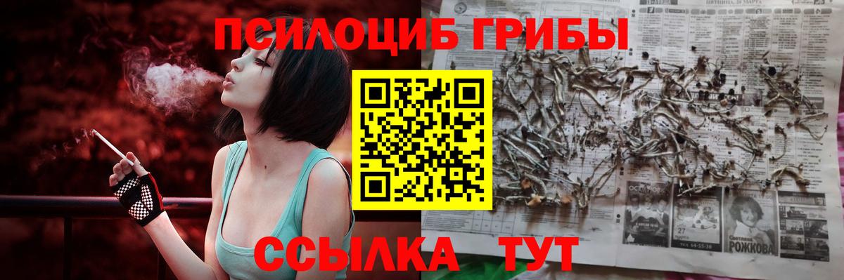 Псилоцибиновые грибы мухоморы  Псилоцибиновые грибы мухоморы  Вход с VPN  Наро-Фоминск 